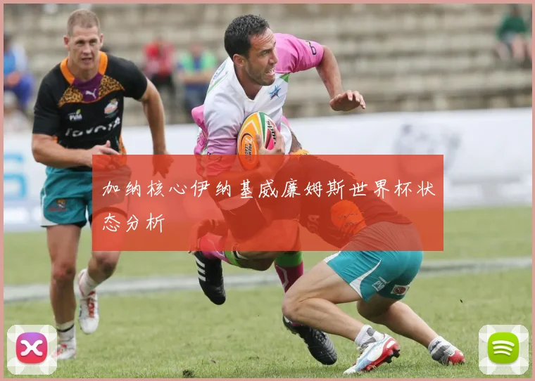 加纳核心伊纳基威廉姆斯世界杯状态分析
